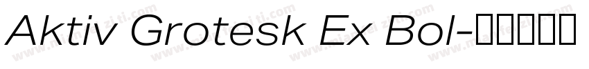 Aktiv Grotesk Ex Bol字体转换